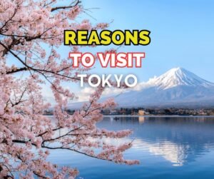 Reasons To Visit Tokyo